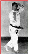 Manzo Iwata Manzo Iwata image