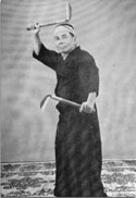 Taira Shinken image