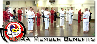 UMAA Logo